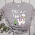 Teachers Testing Day Test Day No Prob Llama Teacher Women's Heather T-Shirt Athletic Heather Teachers Testing Day Test Day No Prob Llama Teacher Women's Heather T-Shirt Athletic Heather