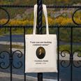 Thomas Paine Common Sense USA History Teacher Student Canvas Tote Bag, History Teacher Gifts, funny design Thomas Paine Common Sense USA History Teacher Student Canvas Tote Bag, History Teacher Gifts, funny design