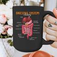Digestive System Anatomy Anatomical Biology Teacher Graphic Print Coffee Mug, funny design Digestive System Anatomy Anatomical Biology Teacher Graphic Print Coffee Mug, funny design