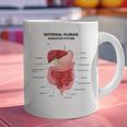 Digestive System Anatomy Anatomical Biology Teacher Men Women Graphic Print Coffee Mug, gift for family, gift for coworker Digestive System Anatomy Anatomical Biology Teacher Men Women Graphic Print Coffee Mug, gift for family, gift for coworker