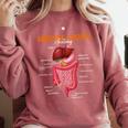 Digestive System Anatomy Anatomical Biology Teacher Comfort Colors Sweatshirt Crimson Digestive System Anatomy Anatomical Biology Teacher Comfort Colors Sweatshirt Crimson