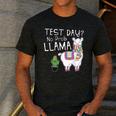 Teachers Testing Day Test Day No Prob Llama Teacher Men's Casual T-Shirt Dark Grey Teachers Testing Day Test Day No Prob Llama Teacher Men's Casual T-Shirt Dark Grey