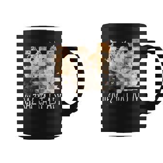 Crazy Cat Lady Beaucoup De Chats Conception De Fête Animale Tasse - Cadeauxyz