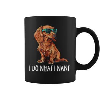 I Do What I Want Long Haired Dachshund Lover Coffee Mug - Thegiftio