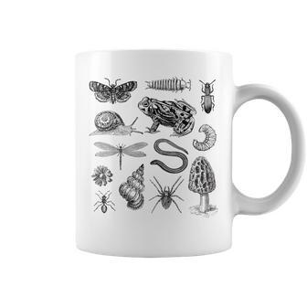 Grenouille Champignon Escargot Insecteintage Biologie Amoureux De La Nature Tasse - Cadeauxyz