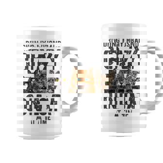 One Cat At A Time Crazy Cat Lady Wife Mom Coffee Mug | Mazezy