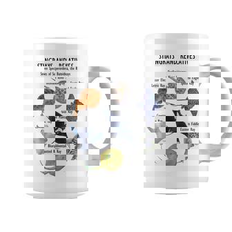 アカエイ種 コーヒーマグ - Kawaiitshirt