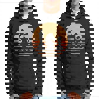 Amoureux Des Échecs Coucher Deoleil Roi Cavalier Et Pion Sweat à capuche - Cadeauxyz