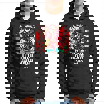 Argoed Drapeau Du Pays De Galles Y Ddraig Goch Dragon Sweat à capuche - Cadeauxyz