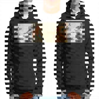 Créationarcastique Amusante De Chat Adam Cat Meme Cat Lover Sweat à capuche - Cadeauxyz