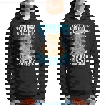 Euh C'est Quoi Leigma Meme Cat Sweat à capuche - Cadeauxyz