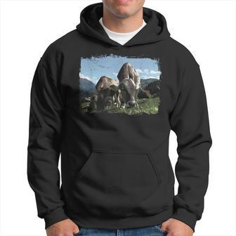 Landwirt Kuh Grauvieh Rind Tier Natur Wiese Bauer Geschenk Kapuzenpullover - Geschenkecke