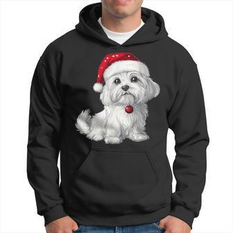 Maltese Dog Christmas Dog Breed s Niedlicher Maltesischer Hund Mit Weihnachtlichem Aufdruck Für Erwachsene Kinder Und Kleinkinderchwarz Klassisch Rundhals Cartoon Winter Kapuzenpullover - Geschenkecke