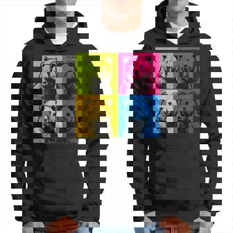 Oso Orgullo Orgullo Gay Bandera Del Orgullo Del Oso Gay Bandera Del Arco Iris Sudadera - Regaloses