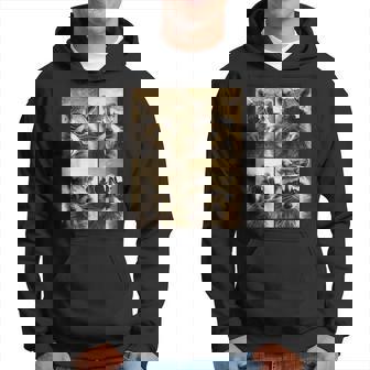 Rétro Raton Laveur Photo Booth Fun Cool Animaux Sweat à capuche - Cadeauxyz