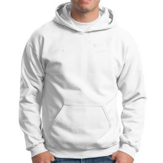Teoría De Cuerdas Ciencia Nerd Física Gato Dechrödinger Manga Raglan Sudadera - Regaloses
