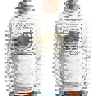 Vintageea Otter Monterey California Amateur D'aquarium Des Années 90 Sweat à capuche - Cadeauxyz