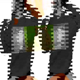 猫 フクロウ 面白い 呪われた Hello Bro Brainrot Meowl Hiro Meme レディースパーカー - Kawaiitshirt