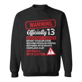 13Th Birthday Warning Dangerous Nager 13 Yr Old Sweatshirt - Thegiftio UK