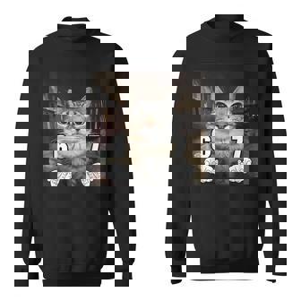 67 Meme Cat Six Seven Meme 6 7 Sweatshirt | Seseable CA