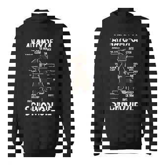 Anatomy Of A Schnoodle Dog Schnoodle Owner Schnoodle Dad Sweatshirt - Monsterry