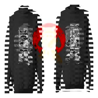 Arts Martiaux Japonais Japon Raton Laveur Sweater e - Cadeauxyz