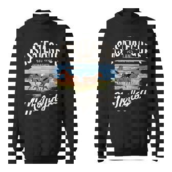 Assateague Island Maryland Adventure National Park Sweatshirt - Monsterry