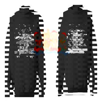 Cat Christmas Light Reindeer Santa Christmas Cat Lover Xmas Sweatshirt | Mazezy