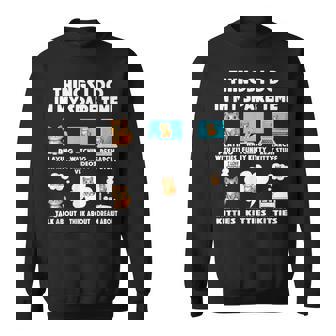 Cat Things Do In Spare Time Cats Kitten Animal Daughter Sweatshirt - Monsterry