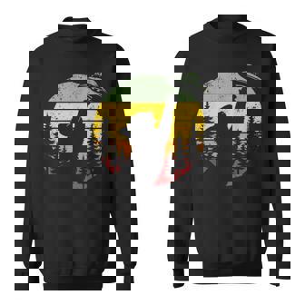 Cat Ufo Alien Spaceship Vintage Space Humor Sweatshirt | Seseable FR