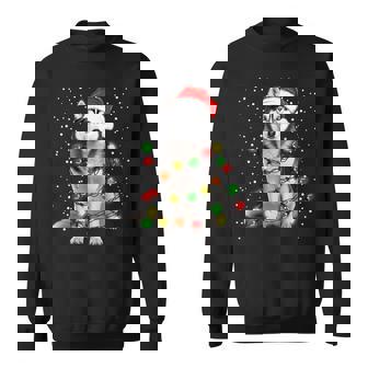 Chien Husky Avec Guirlande Lumineuse Pour Noël Manche Longue Sweater e - Cadeauxyz