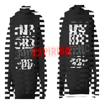 Only Child Expiring 2026 Big Brother Promoted To Big Brother Sweatshirt - Monsterry