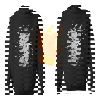 Cochon Nouvel Anol Bouchoncène Étoile Illustration Sweater e - Cadeauxyz