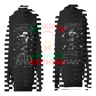 Cute Dachshund Wiener Doxie Dog Dog Christmas On The Naughty Sweatshirt | Mazezy