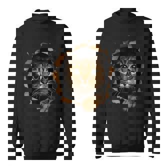 Cute Kitten Looks From Torn Fabric Cat Lovers Sweatshirt - Monsterry