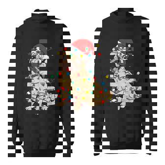 Cute Pug Christmas Lights Santa Pajama Xmas Pet Dog Lover Sweatshirt - Thegiftio