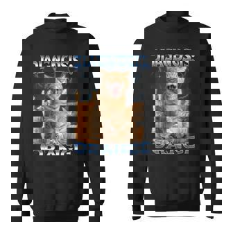 Diagnosis Orange Tabby Cat Energy Sweatshirt | Mazezy