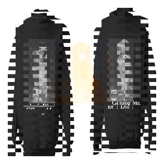 I Got That Dog In Me Golden Retriever Smoking Beer Dog Meme Sweatshirt | Seseable FR