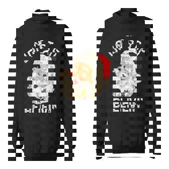 Don't Stop Believing Santa Claus Christmas Sweatshirt | Seseable CA