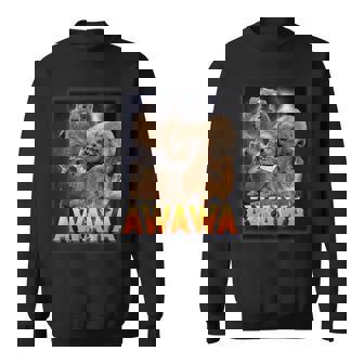 Drôle Awawa Hyrax Étrangementpécifique Meme Animal Pour La Famille Sweater e - Cadeauxyz