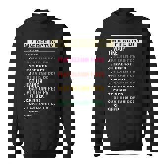 Drôle Uilleann Pipes Musique Instrument Amateurs Citation Sweater e - Cadeauxyz