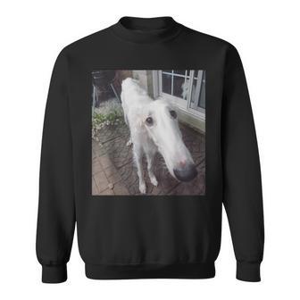 Borzoi Long Nose Dog Meme Sweatshirt - Thegiftio UK