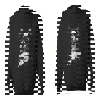 Boston Terrier Dog Sweatshirt - Monsterry