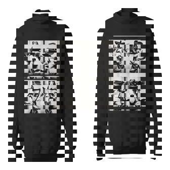 Chihuahuas Cowboy Western Style Cute Photography Sweatshirt | Mazezy