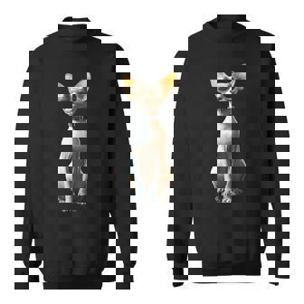 Gatophynx Gato Esfinge Gato Canadiense Dulce Esfinge Gatos Camisa de entrenamiento - Regaloses