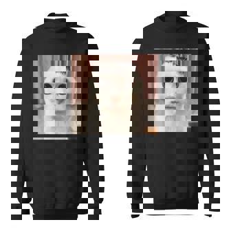 Goofy Ahh Cat Meme Dank Cursed Weirdcore Cat Meme Sweatshirt | Seseable FR