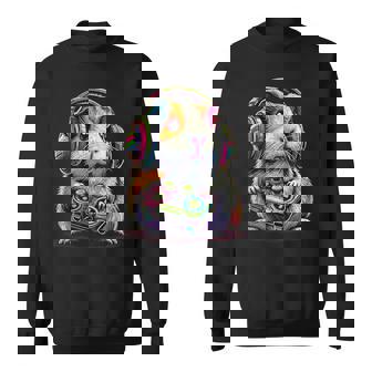 Guinea Pig Video Games Guinea Pig Sweatshirt | Mazezy