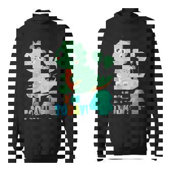 Hoy Cumplo 4 Años Dinosaurio T-Rex Niños Cuarto Cumpleaños Camisa de entrenamiento - Regaloses