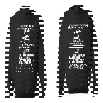 Hunde -Orsichtor Dem Frauchen Kleidung Sweatshirt - Seseable