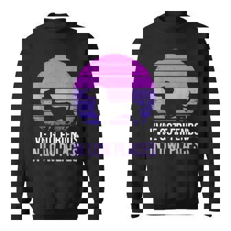 I've Got Friends In Low Places Dachshund Dog Lover Sweatshirt - Monsterry